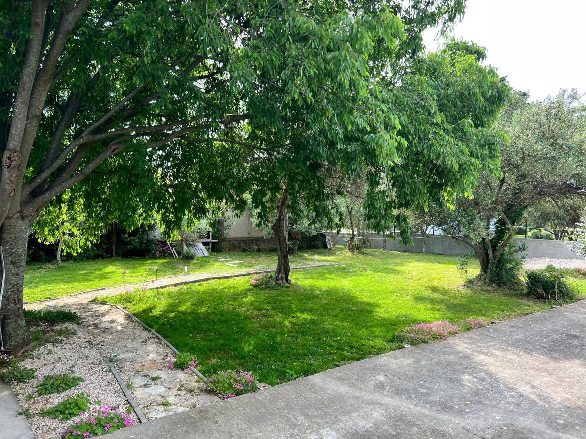 Apartments Mia Bibinje Ngoại thất bức ảnh